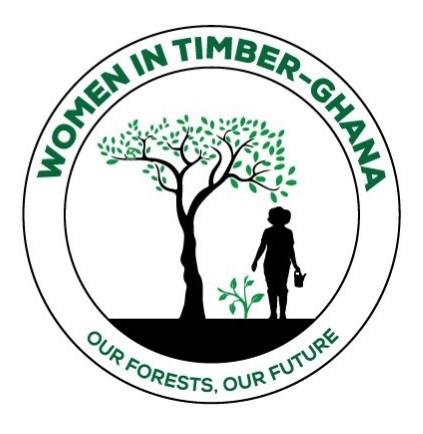 womenintimberghana.org